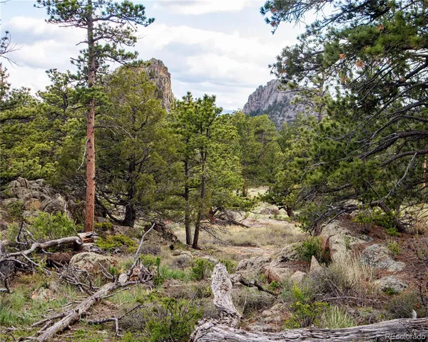 $840,000 | 13101 North County Road 73C, Red Feather Lakes, CO 80545