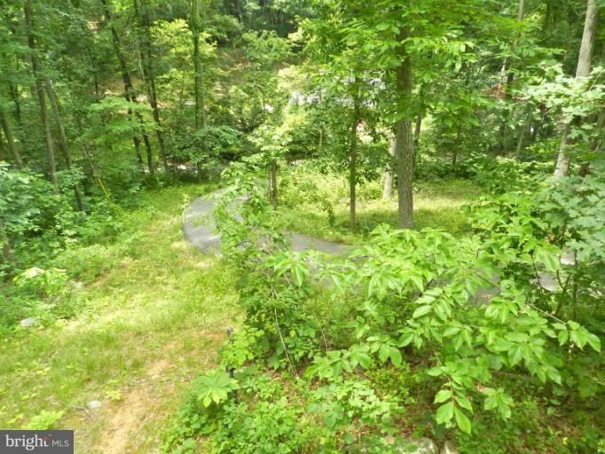 175 Easy Hollow Road Front Royal, VA 22630 - Photo 22 of 24 Front Yard & Driveway