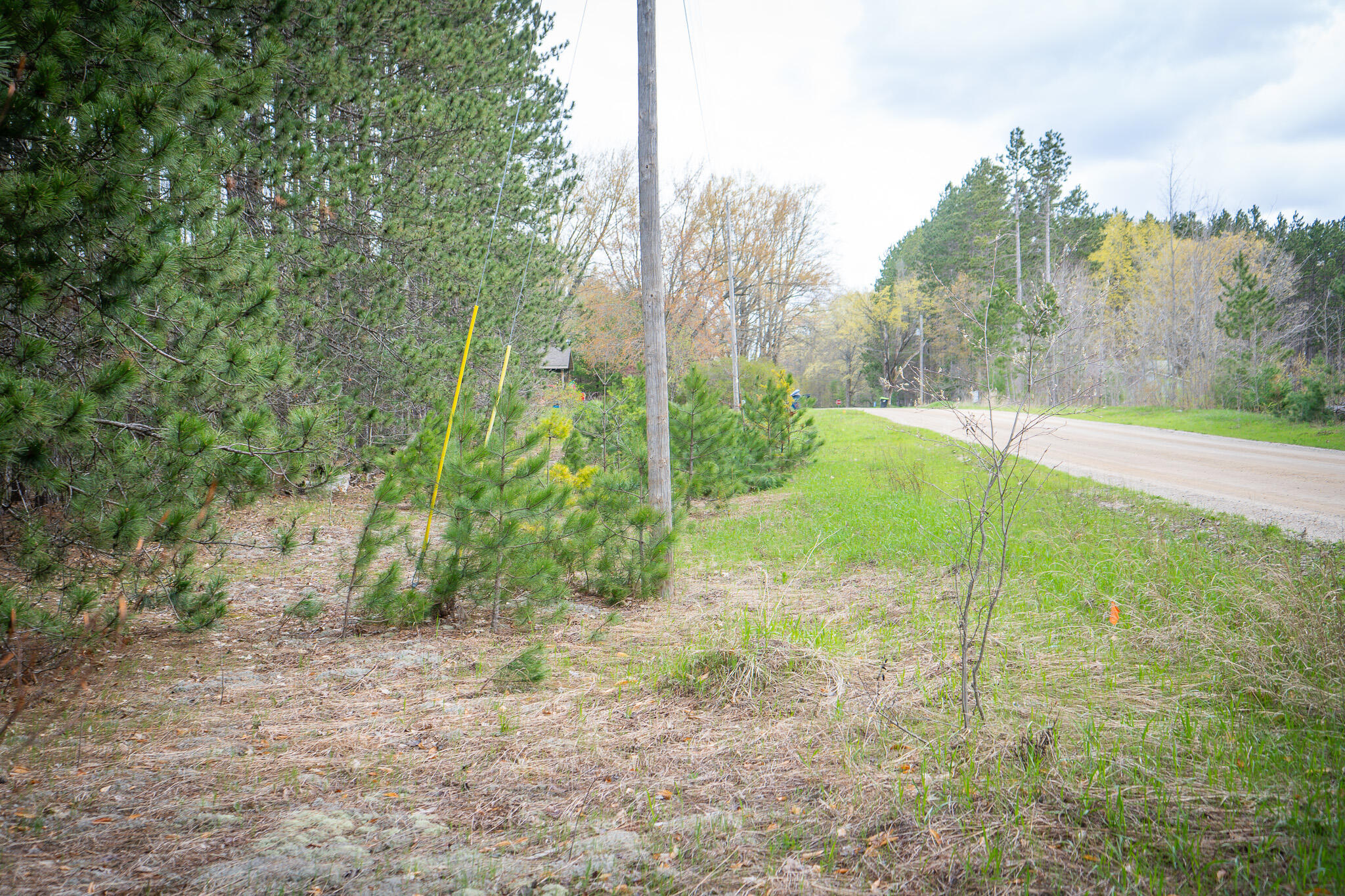 V/l Hudson Road Southwest South Boardman, MI 49680 - Photo 12 of 34 DSC08213