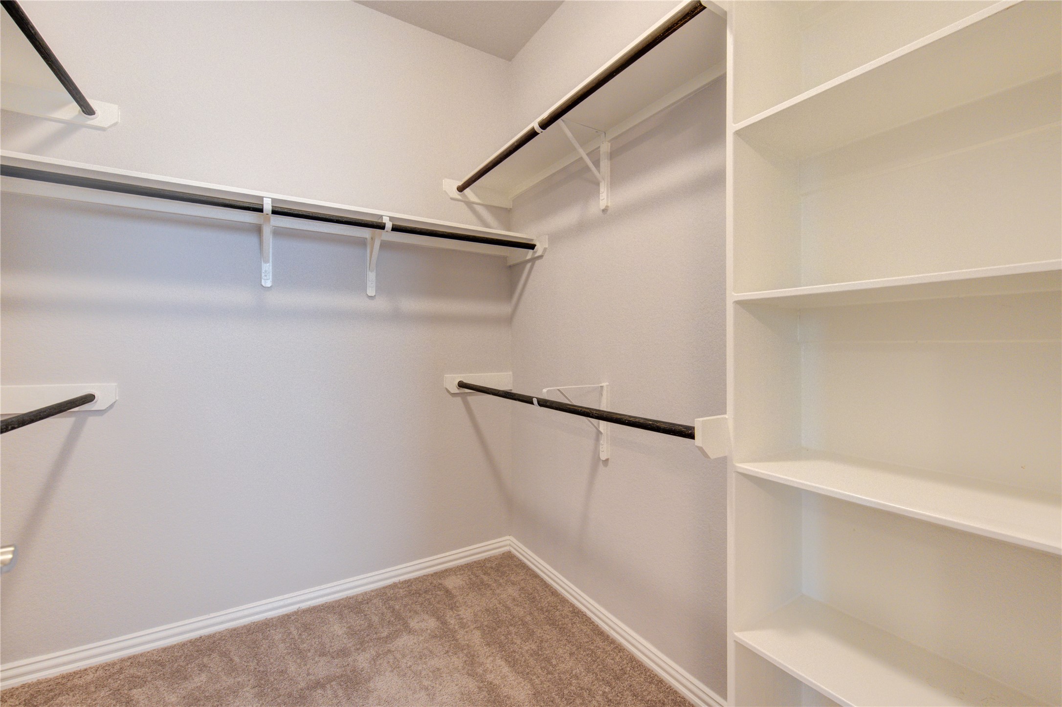 13838 Sturcombe Gln Trail Rosharon, TX 77583 - Photo 25 of 44 a view of walk in closet