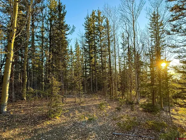 $20,000 | 6817 Heckman Road, San Luis, CO 81152