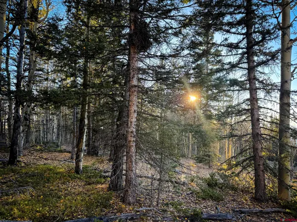 $20,000 | 6817 Heckman Road, San Luis, CO 81152