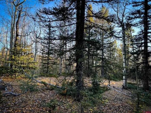 $20,000 | 6817 Heckman Road, San Luis, CO 81152