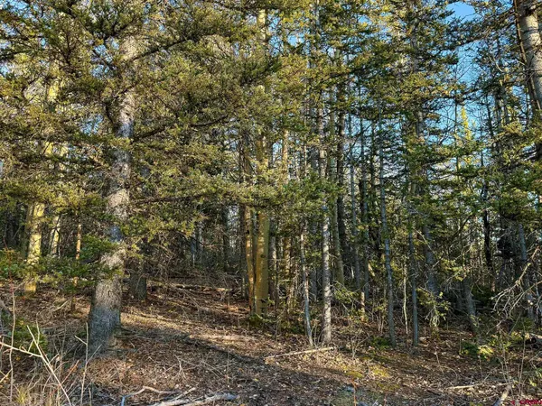$20,000 | 6817 Heckman Road, San Luis, CO 81152
