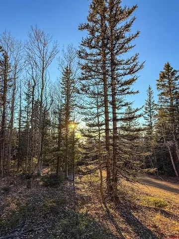 $20,000 | 6817 Heckman Road, San Luis, CO 81152