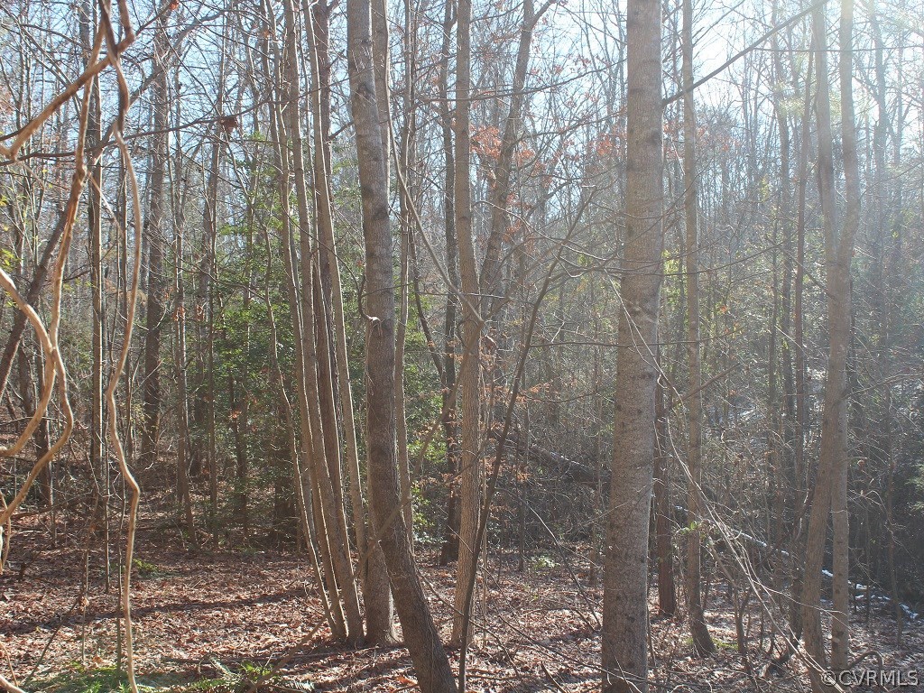 9.4-ac West River Road Aylett, VA 23009 - Photo 4 of 29 Gallery Image 4