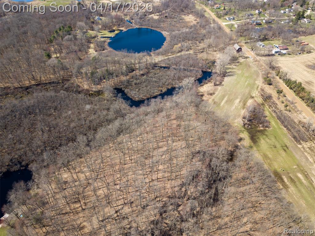 825 West Rose Center Road Holly, MI 48442 - Photo 25 of 29