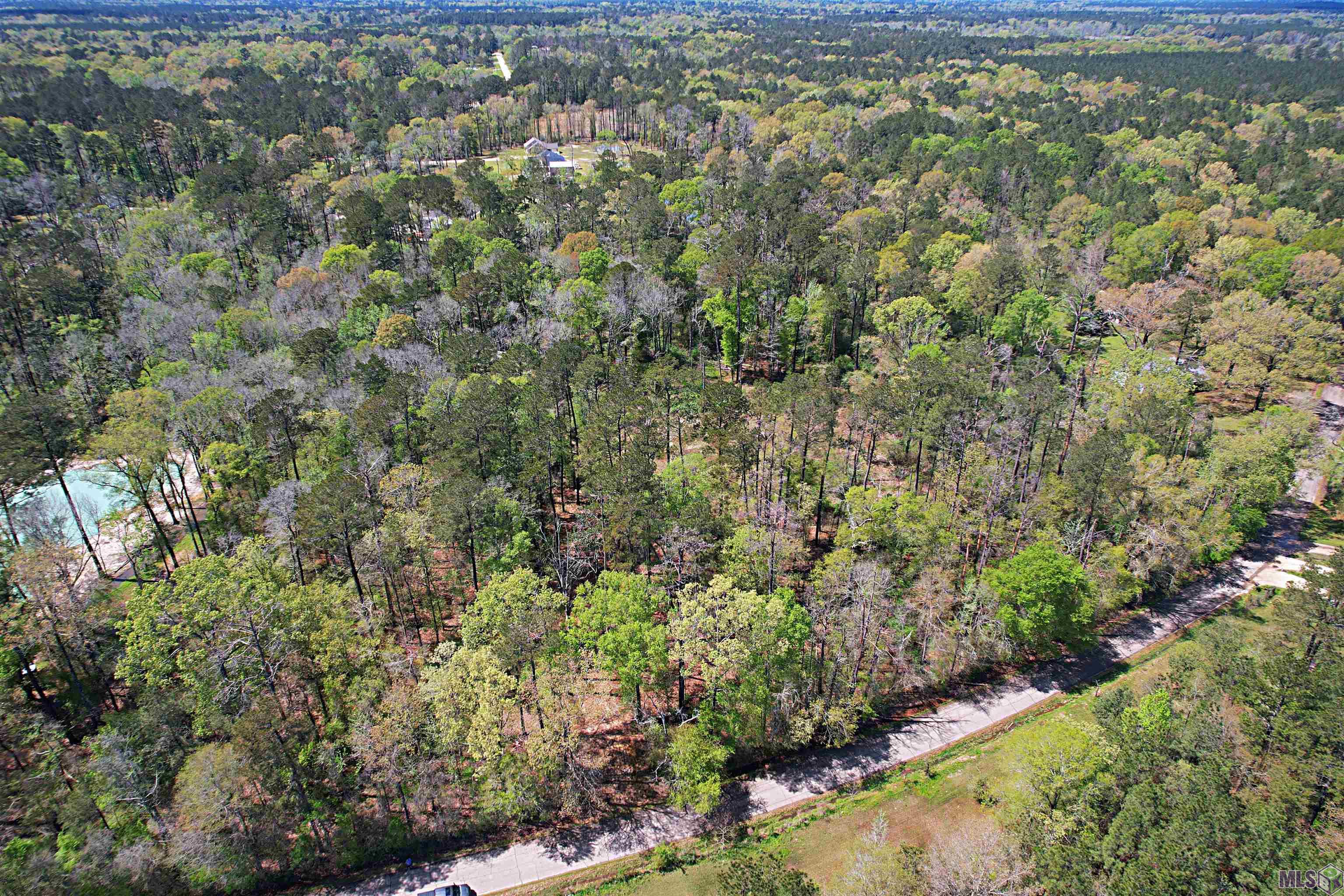 Tbd Tyler Ballard Road Walker, LA 70785 - Photo 2 of 9