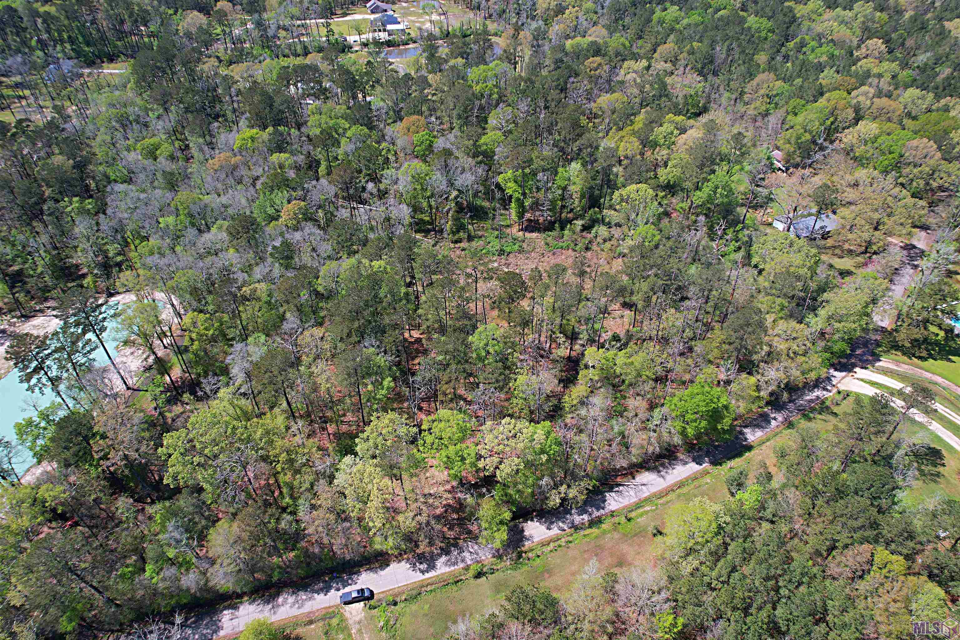 Tbd Tyler Ballard Road Walker, LA 70785 - Photo 3 of 9