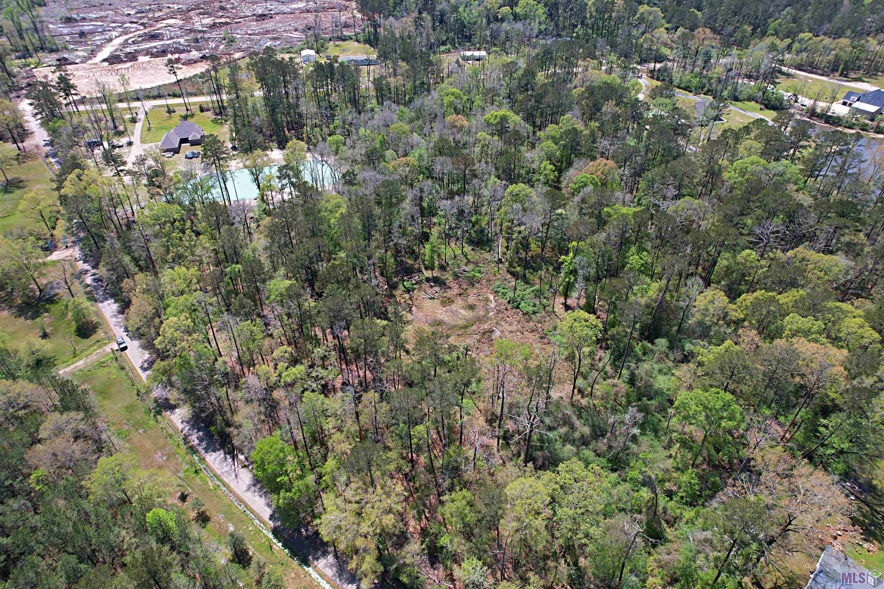 Tbd Tyler Ballard Road Walker, LA 70785 - Photo 4 of 9