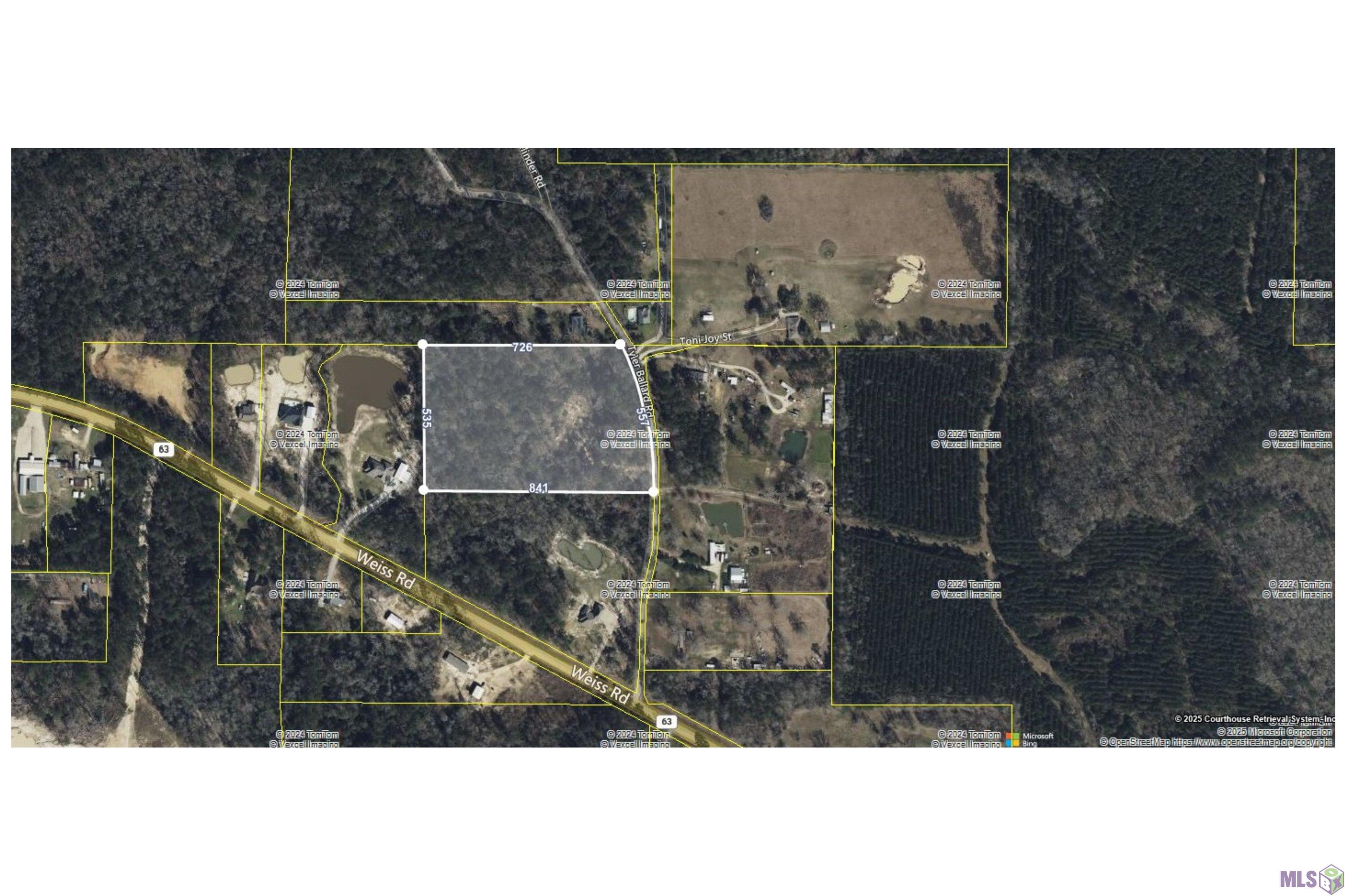 Tbd Tyler Ballard Road Walker, LA 70785 - Photo 5 of 9