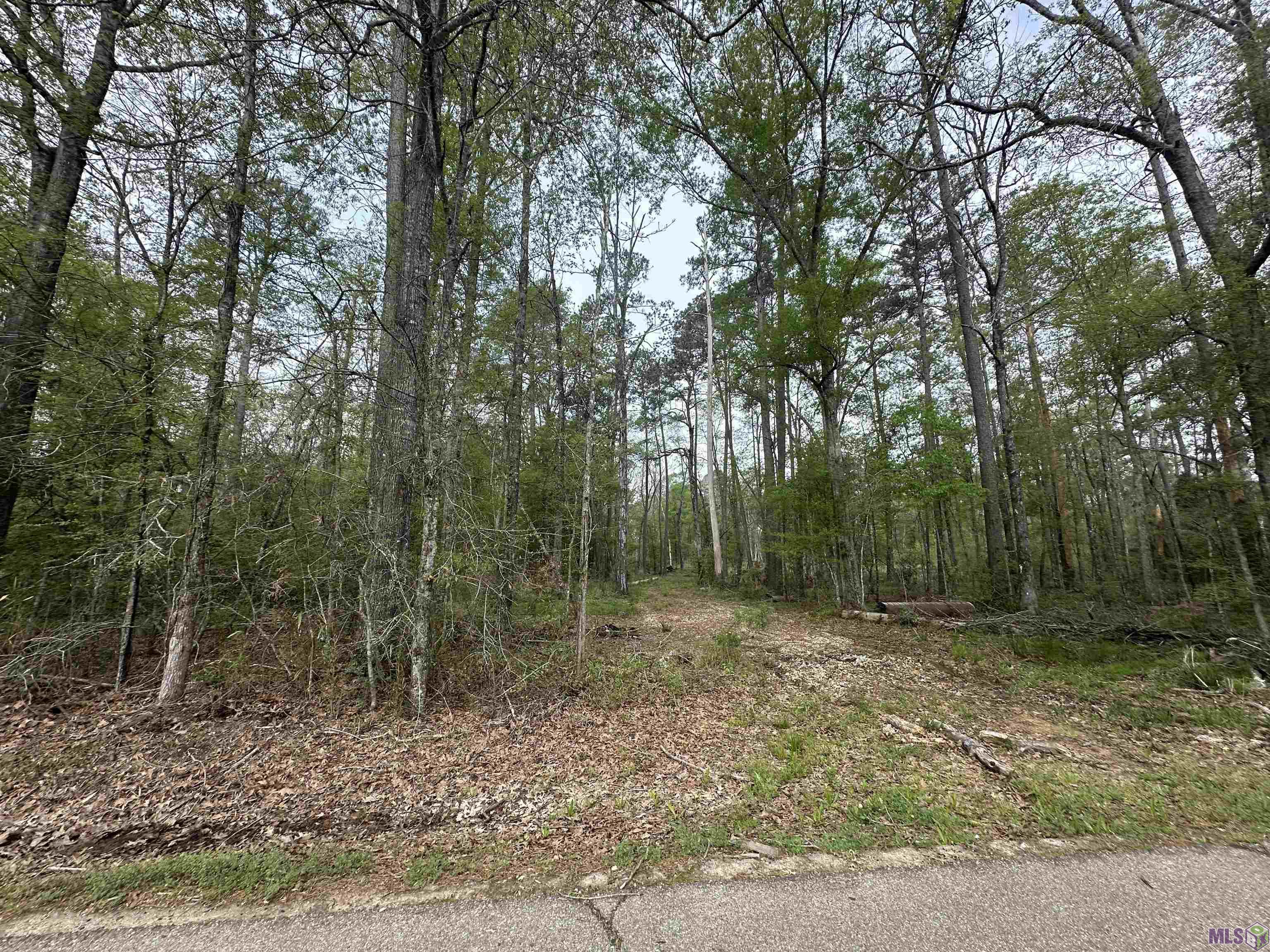 Tbd Tyler Ballard Road Walker, LA 70785 - Photo 7 of 9