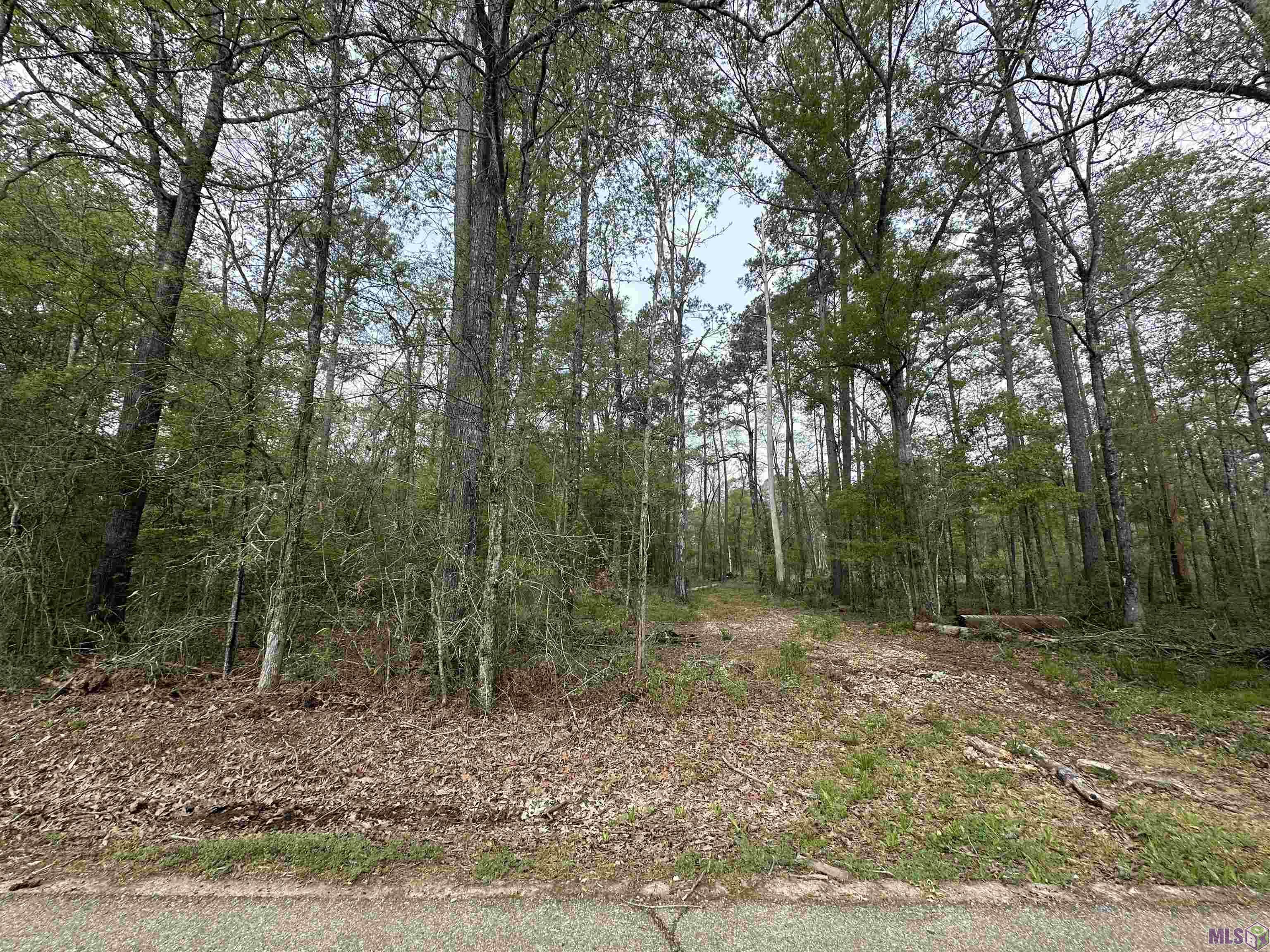 Tbd Tyler Ballard Road Walker, LA 70785 - Photo 8 of 9