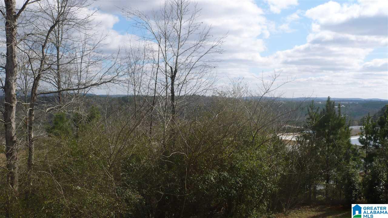 218 Levine Road Odenville, AL 35120 - Photo 2 of 9