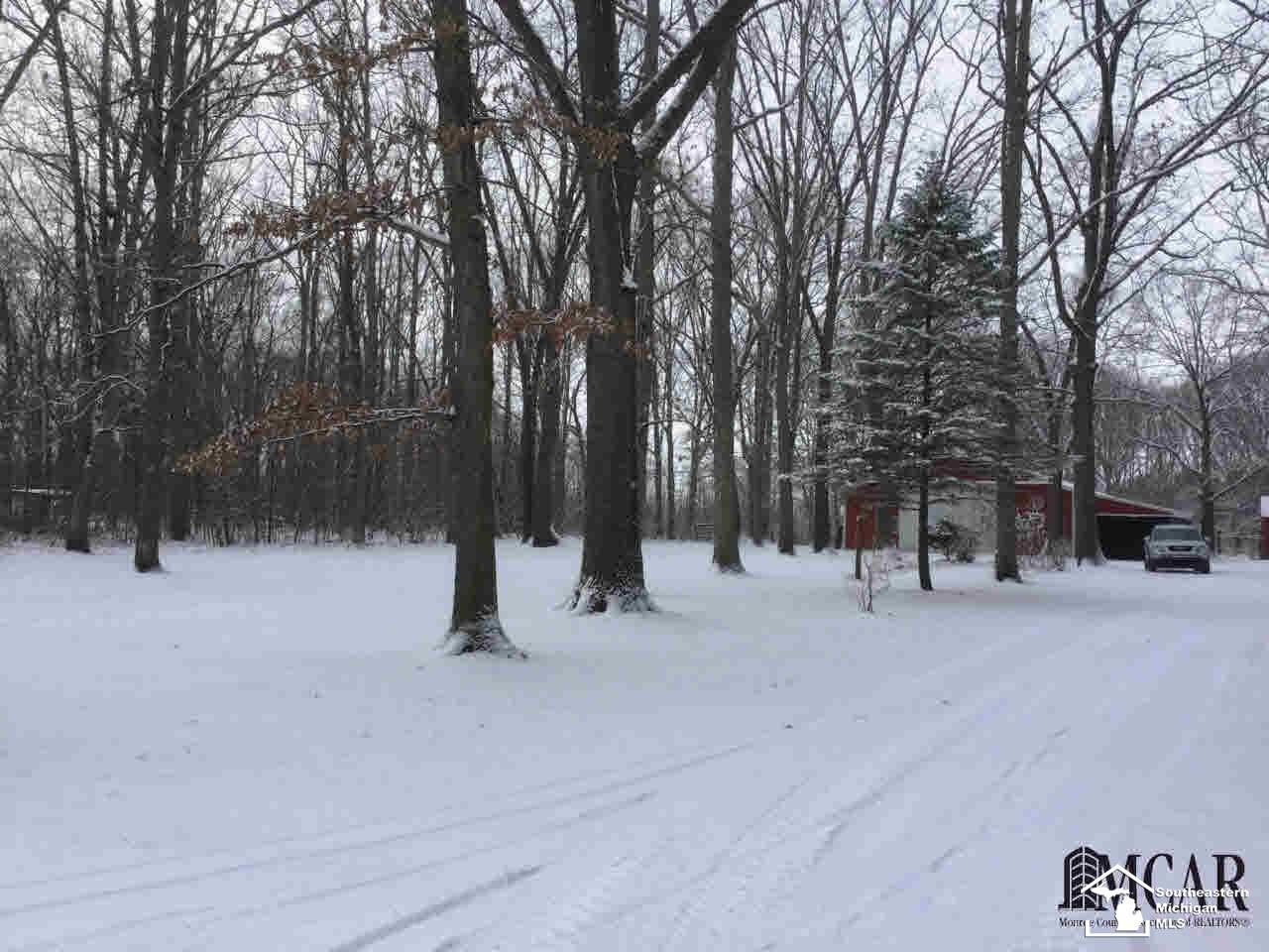 8540 Covert Road Petersburg, MI 49270 - Photo 30 of 31 21397047-29.JPG