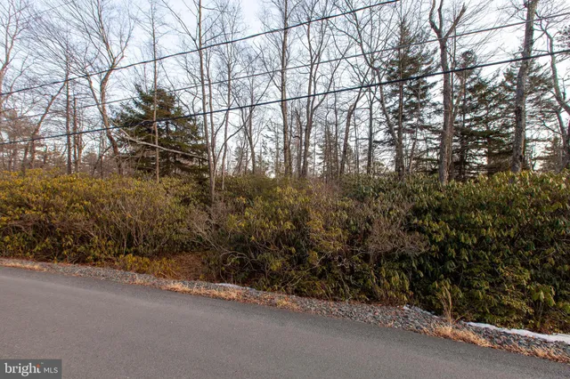 a view of a street view