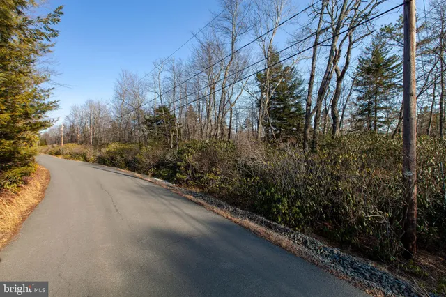 a view of a road from a yard