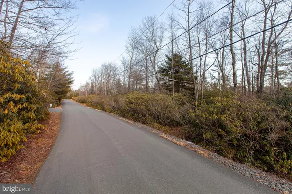 a view of a road from a yard