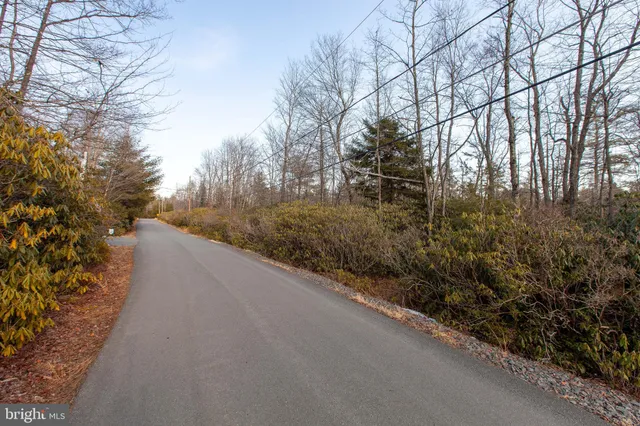 a view of a road from a yard