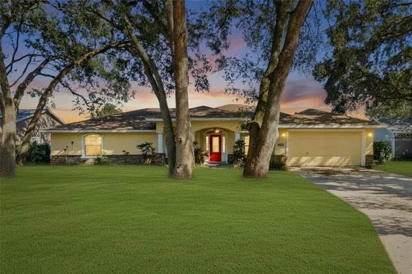 a view of a trees in front of a house