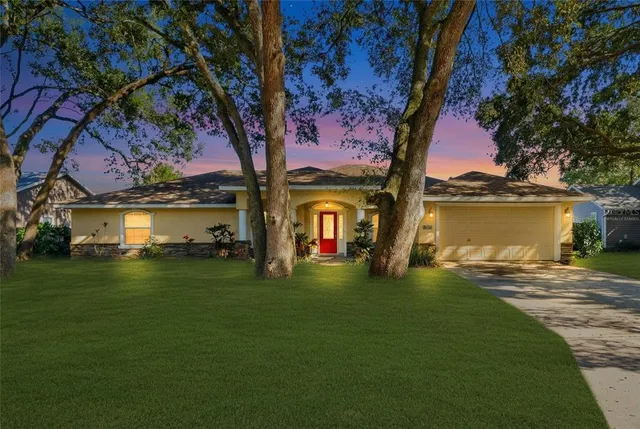 a large tree in middle of the garden