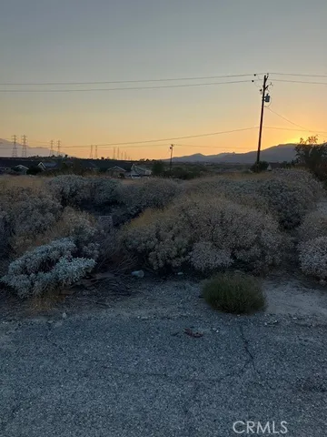 a view of a dry yard with wooden fence