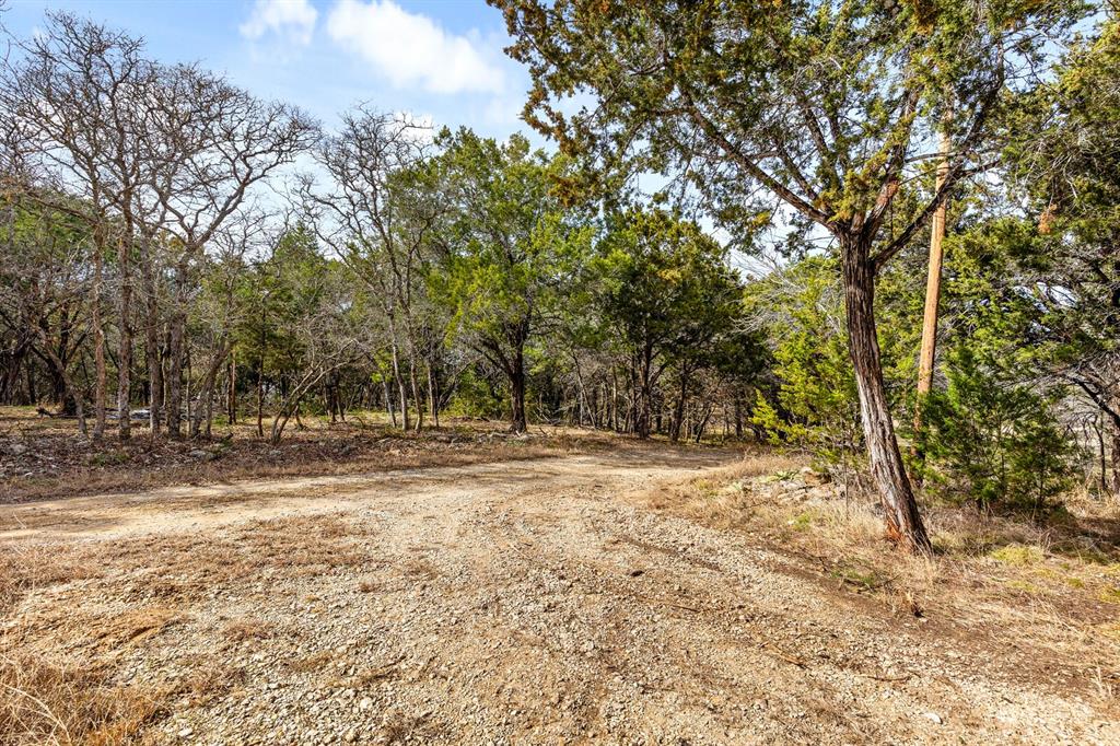 375 Panther Branch Road Valley Mills, TX 76689 - Photo 19 of 34 a view of a yard with trees