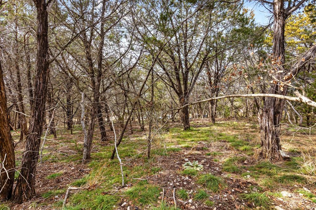 375 Panther Branch Road Valley Mills, TX 76689 - Photo 20 of 34 a yard with a trees