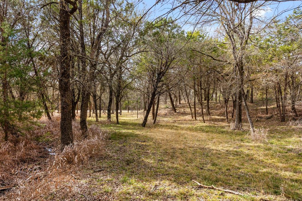 375 Panther Branch Road Valley Mills, TX 76689 - Photo 31 of 34 a view of yard with trees
