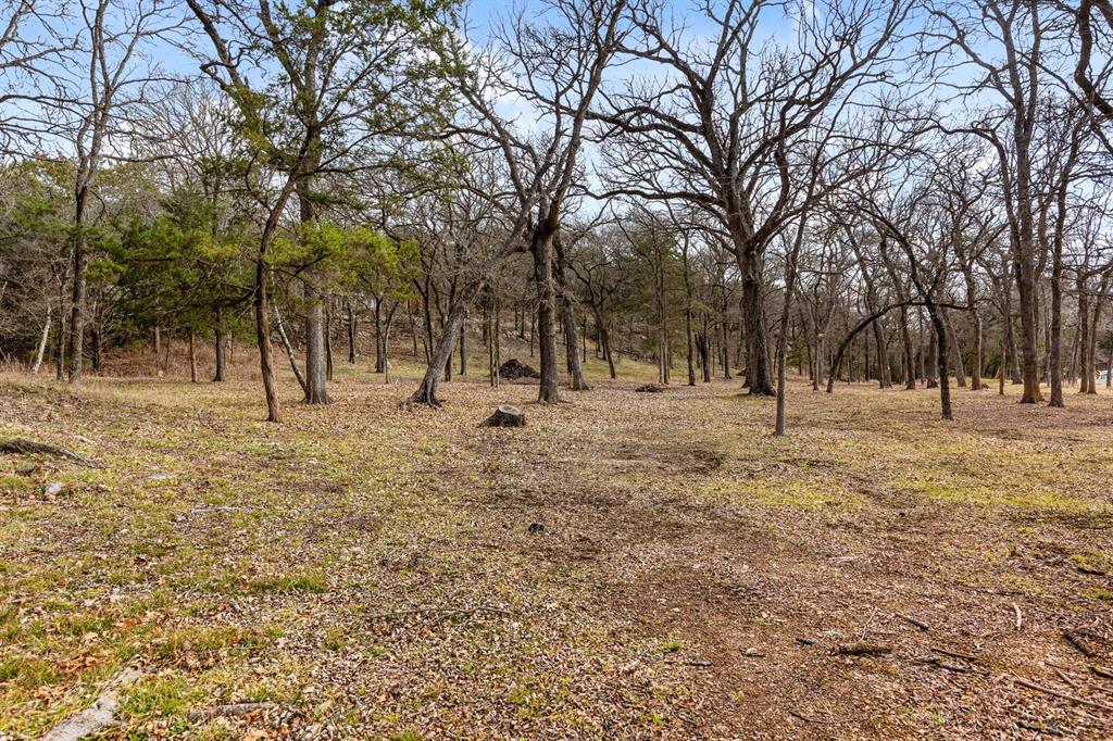 375 Panther Branch Road Valley Mills, TX 76689 - Photo 33 of 34 a view of road with trees