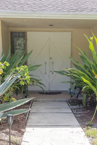 a potted plant sitting on the side of a building