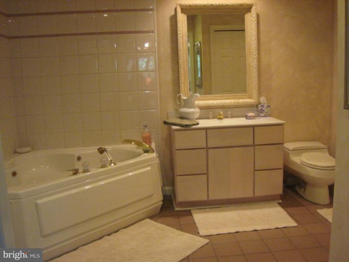 5301 Ravensworth Road Springfield, VA 22151 - Photo 5 of 27 Bath (Master)
