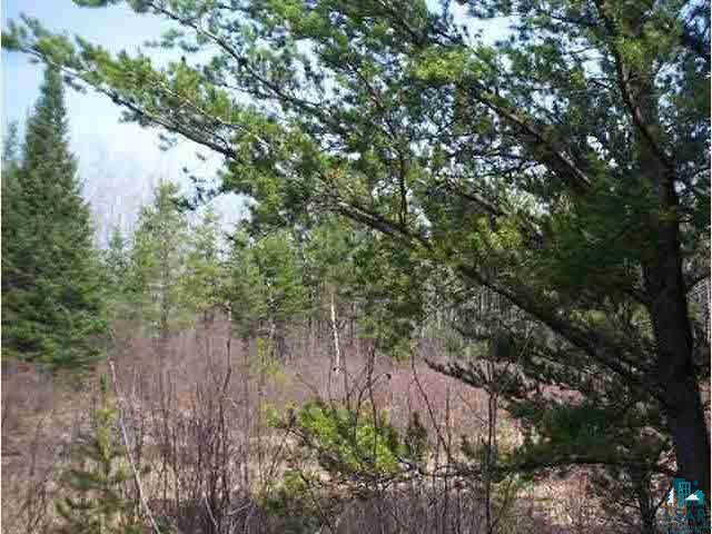 Xxx Xxx Stepltz Road Biwabik, MN 55708 - Photo 1 of 7 Gallery Image 1