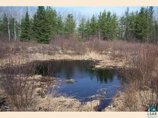 Xxx Xxx Stepltz Road Biwabik, MN 55708 - Photo 2 of 7 Gallery Image 2