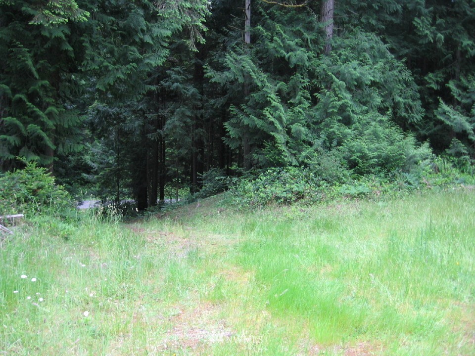 4040 Lone Lake Road Langley, WA 98260 - Photo 3 of 7 Gallery Image 3