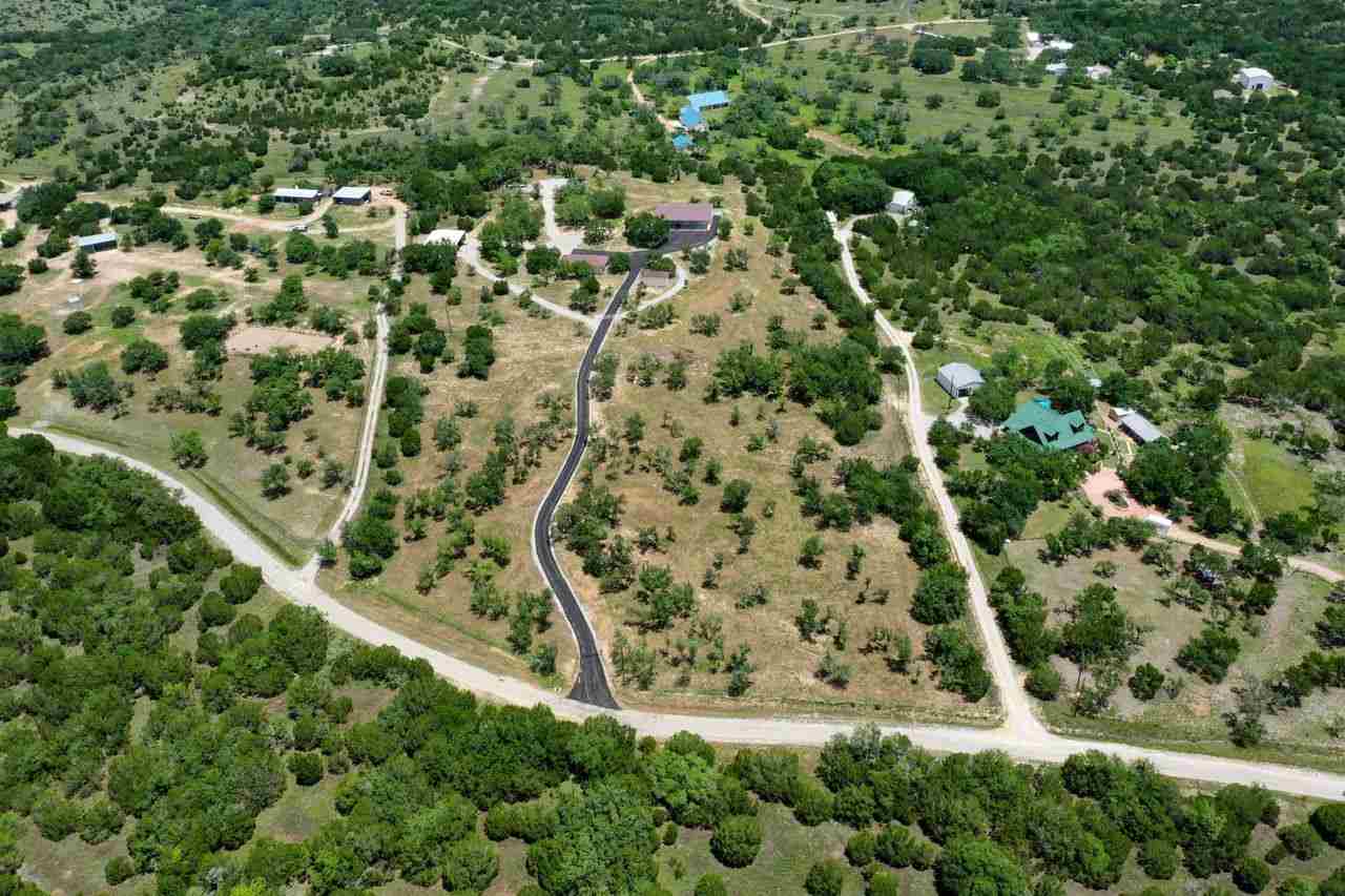 a view of a yard with plants