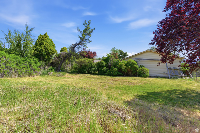 148 Tennyson Avenue Sandy, UT 84070 - Photo 44 of 55 Expansive grassy area featuring mature trees and shrubbery, with a light-colored exterior building in the background