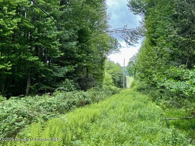 Marvins Road Susquehanna, PA 18847 - Photo 14 of 17 IMG_2831 Medium