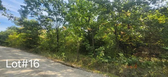 $12,000 | 7516 Springcove Road, Lacygne, KS 66040