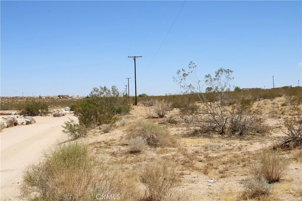 5 Joshua Tree Road Johnson Valley, CA 92285 - Photo 12 of 21 Gallery Image 12