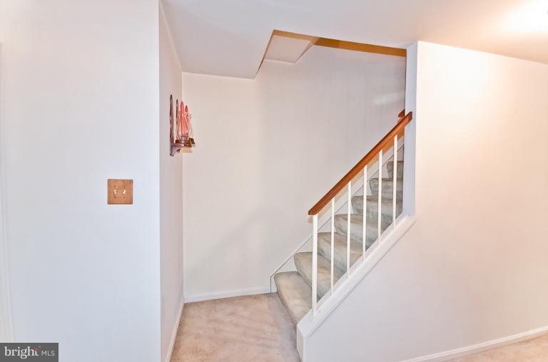 8800 Winding Hollow Way Springfield, VA 22152 - Photo 11 of 22 Lower Level