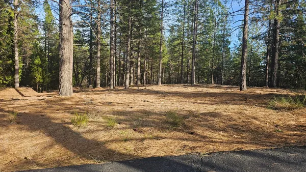 a view of a yard
