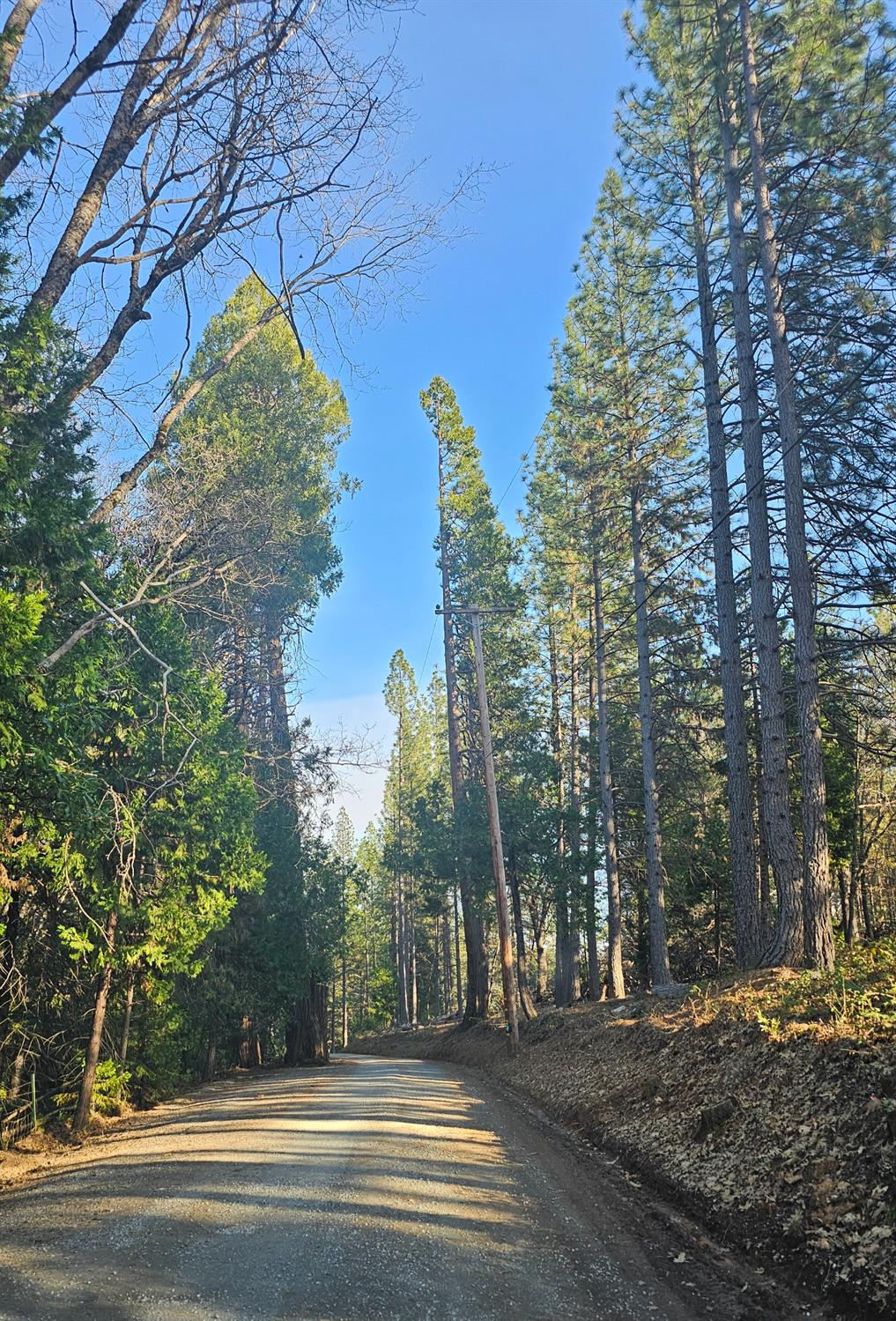 2801 Harkness Street Georgetown, CA 95634 - Photo 2 of 10