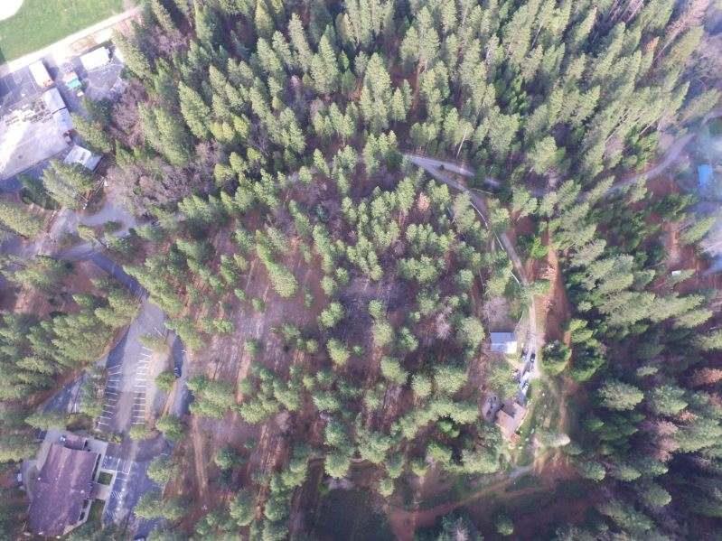 2801 Harkness Street Georgetown, CA 95634 - Photo 9 of 10