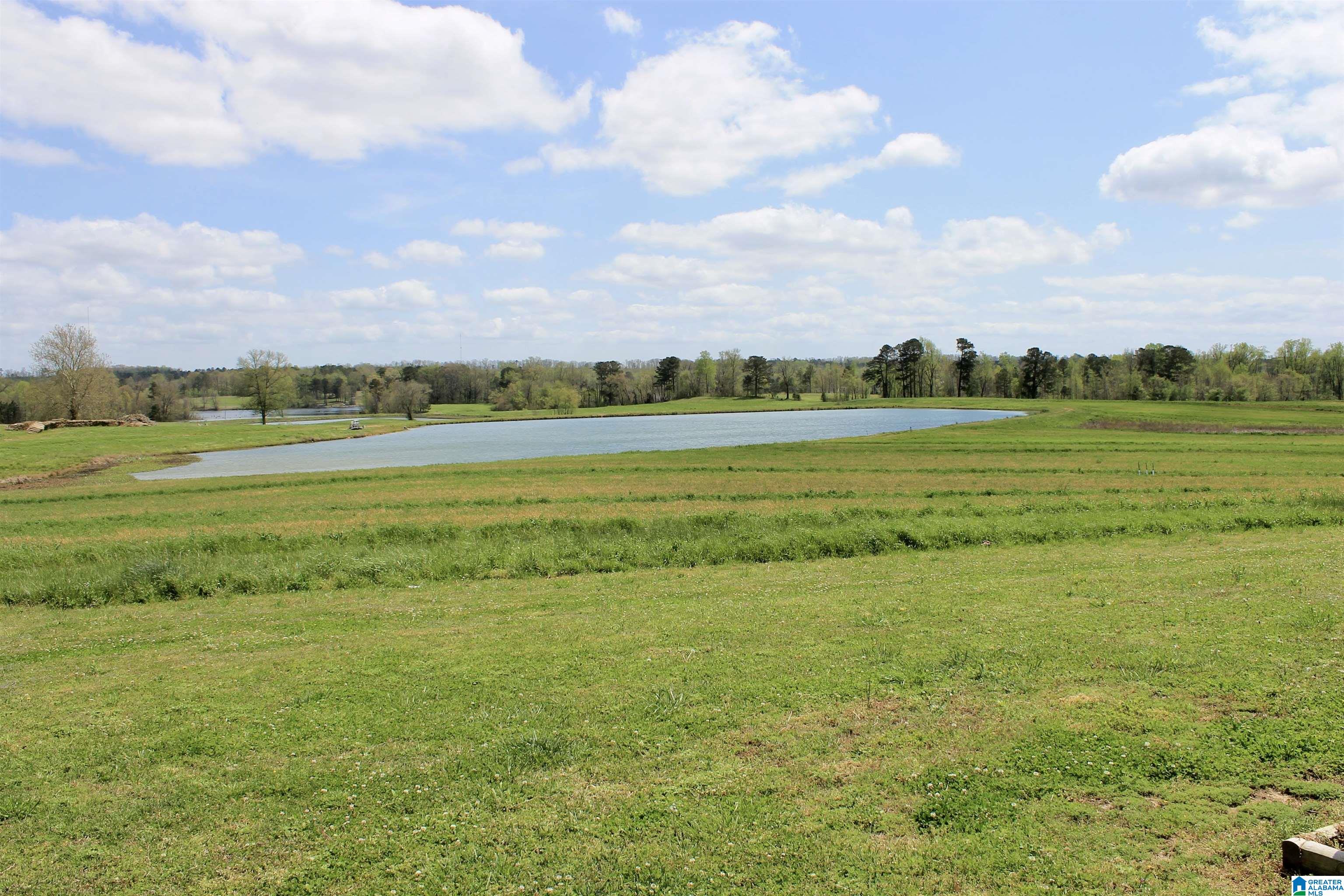 235 Lake Road Steele, AL 35987 - Photo 22 of 23