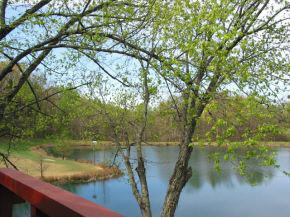 1555 North Sharkey Road Bloomfield, IN 47424 - Photo 9 of 24