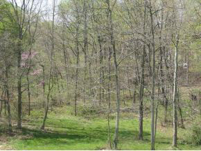 1555 North Sharkey Road Bloomfield, IN 47424 - Photo 10 of 24