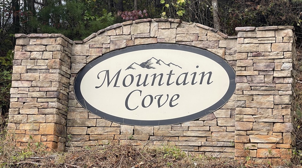 470 Rye Field Road Murphy, NC 28906 - Photo 2 of 50