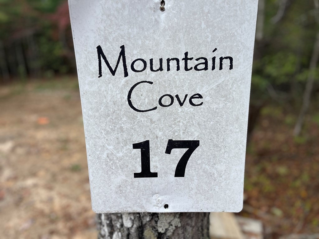 470 Rye Field Road Murphy, NC 28906 - Photo 28 of 50