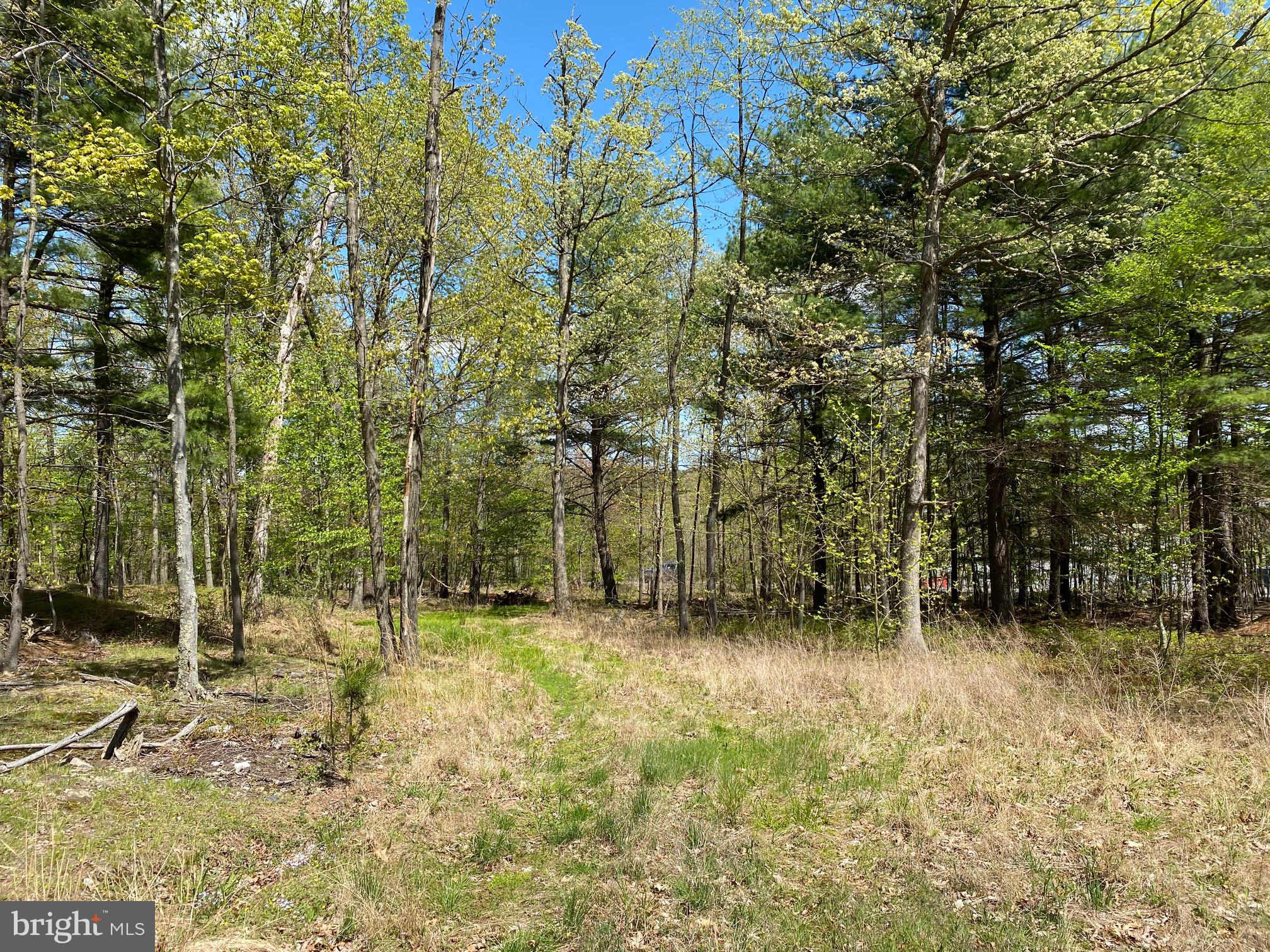 84 Alex Lane Berkeley Springs, WV 25411 - Photo 4 of 7 Setting